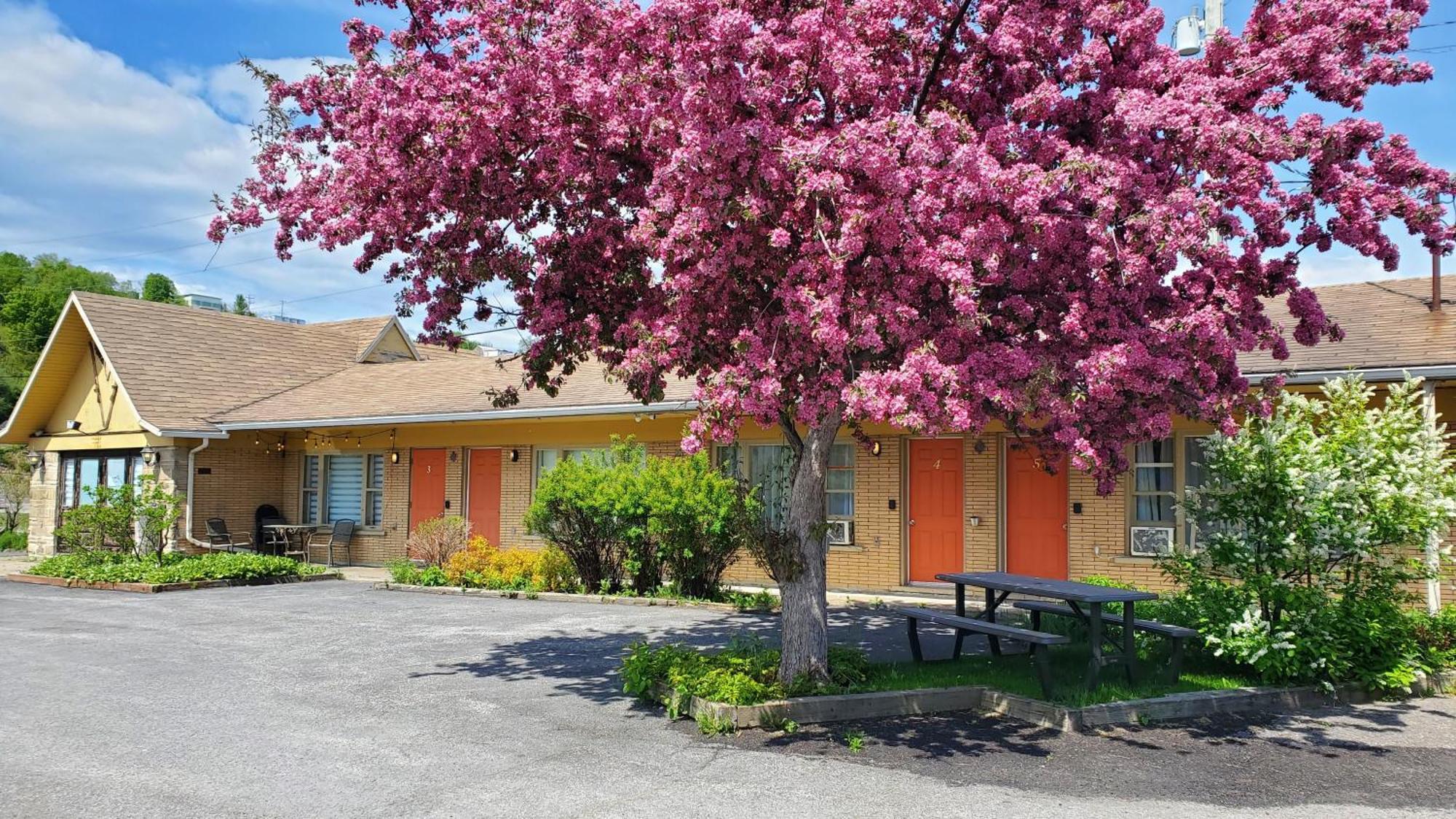 Lofts Fleuve Et Montagnes Motel Sainte-Anne-de-Beaupré Екстериор снимка